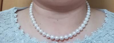 ユーザー投稿写真