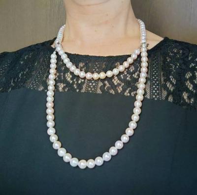 ユーザー投稿写真