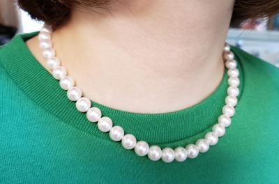 ユーザー投稿写真