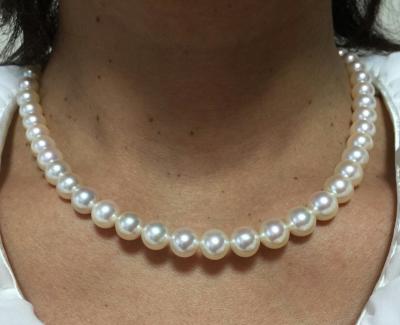 ユーザー投稿写真