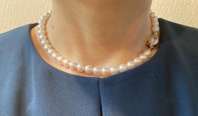 ユーザー投稿写真