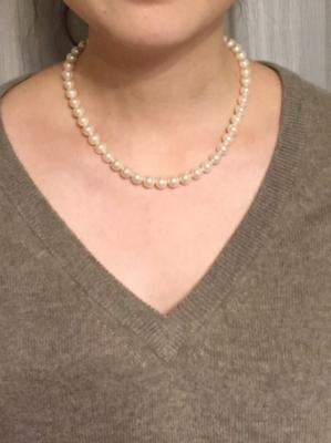 ユーザー投稿写真