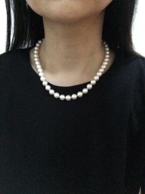 ユーザー投稿写真