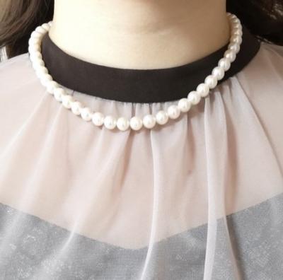 ユーザー投稿写真