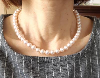 ユーザー投稿写真