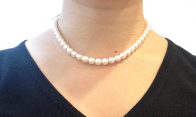 ユーザー投稿写真