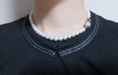 ユーザー投稿写真