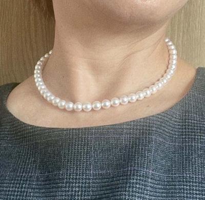 ユーザー投稿写真