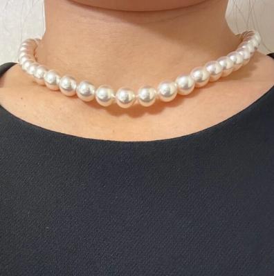 ユーザー投稿写真