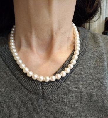 ユーザー投稿写真