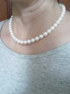 ユーザー投稿写真