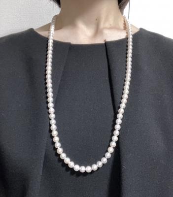 ユーザー投稿写真