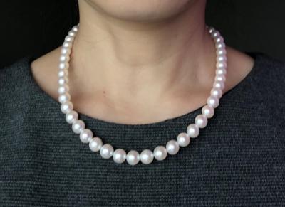 ユーザー投稿写真