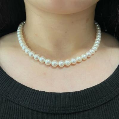 ユーザー投稿写真