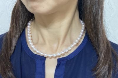 ユーザー投稿写真