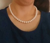 ユーザー投稿写真