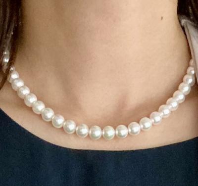 ユーザー投稿写真