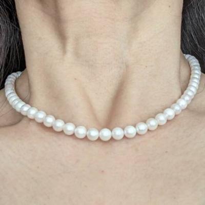 ユーザー投稿写真