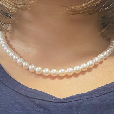 ユーザー投稿写真