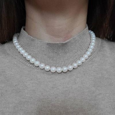 ユーザー投稿写真