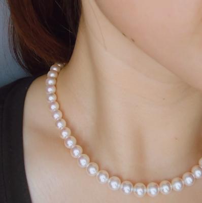 ユーザー投稿写真