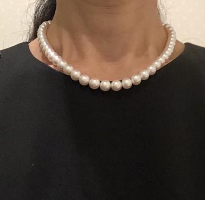 ユーザー投稿写真