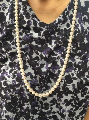 ユーザー投稿写真