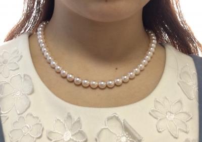 ユーザー投稿写真