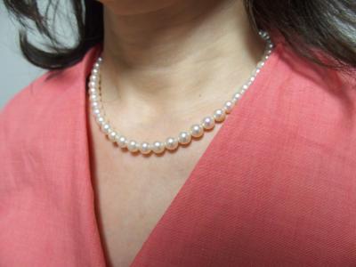 ユーザー投稿写真