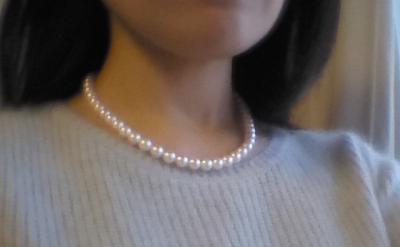 ユーザー投稿写真