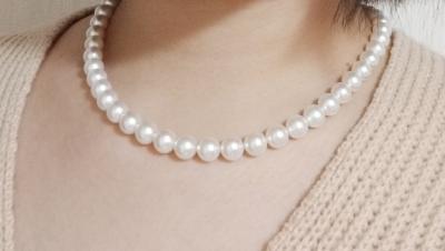 ユーザー投稿写真