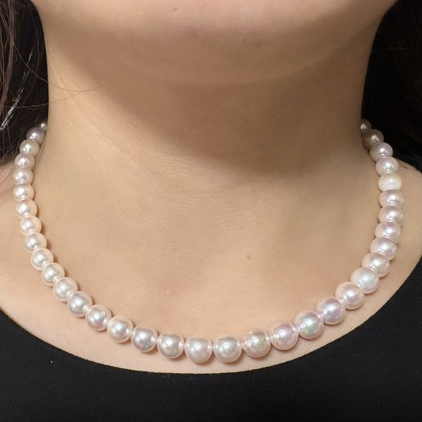 ユーザー投稿写真