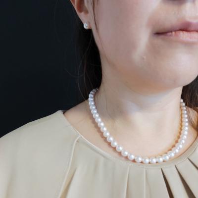 ユーザー投稿写真