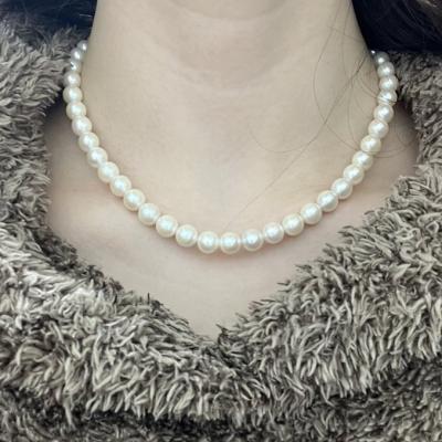 ユーザー投稿写真