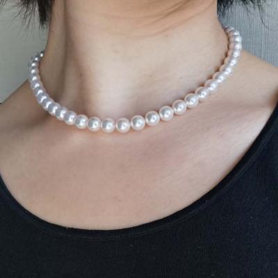 ユーザー投稿写真