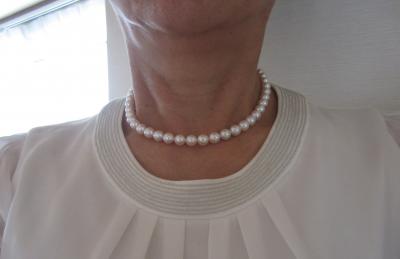 ユーザー投稿写真