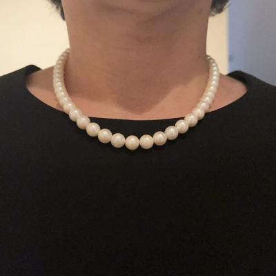 ユーザー投稿写真