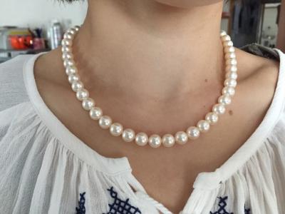 ユーザー投稿写真