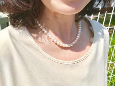 ユーザー投稿写真