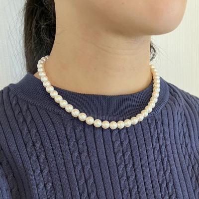 ユーザー投稿写真