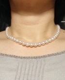 ユーザー投稿写真