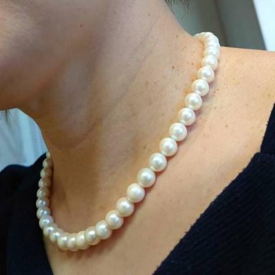 ユーザー投稿写真