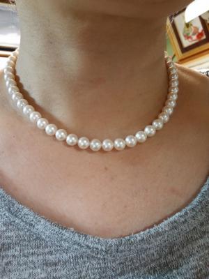 ユーザー投稿写真