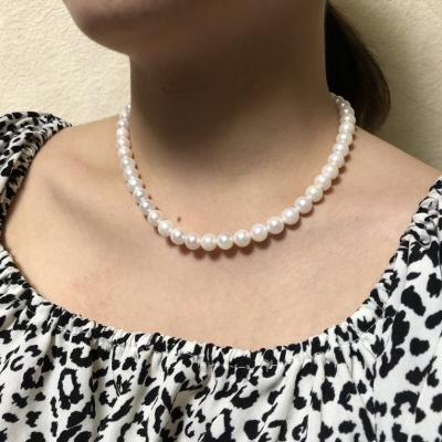 ユーザー投稿写真