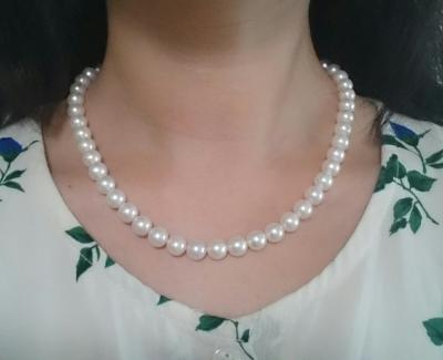 ユーザー投稿写真