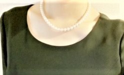 ユーザー投稿写真