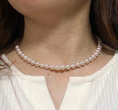 ユーザー投稿写真