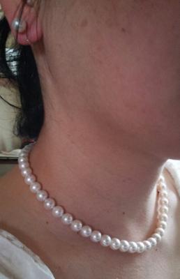 ユーザー投稿写真