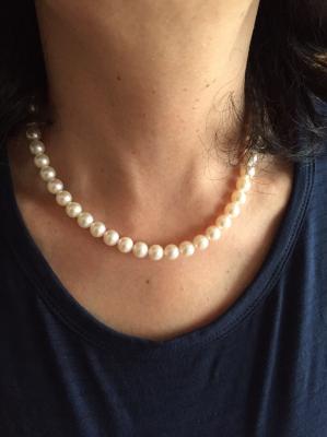 ユーザー投稿写真