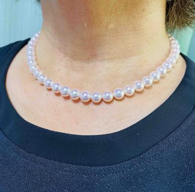 ユーザー投稿写真